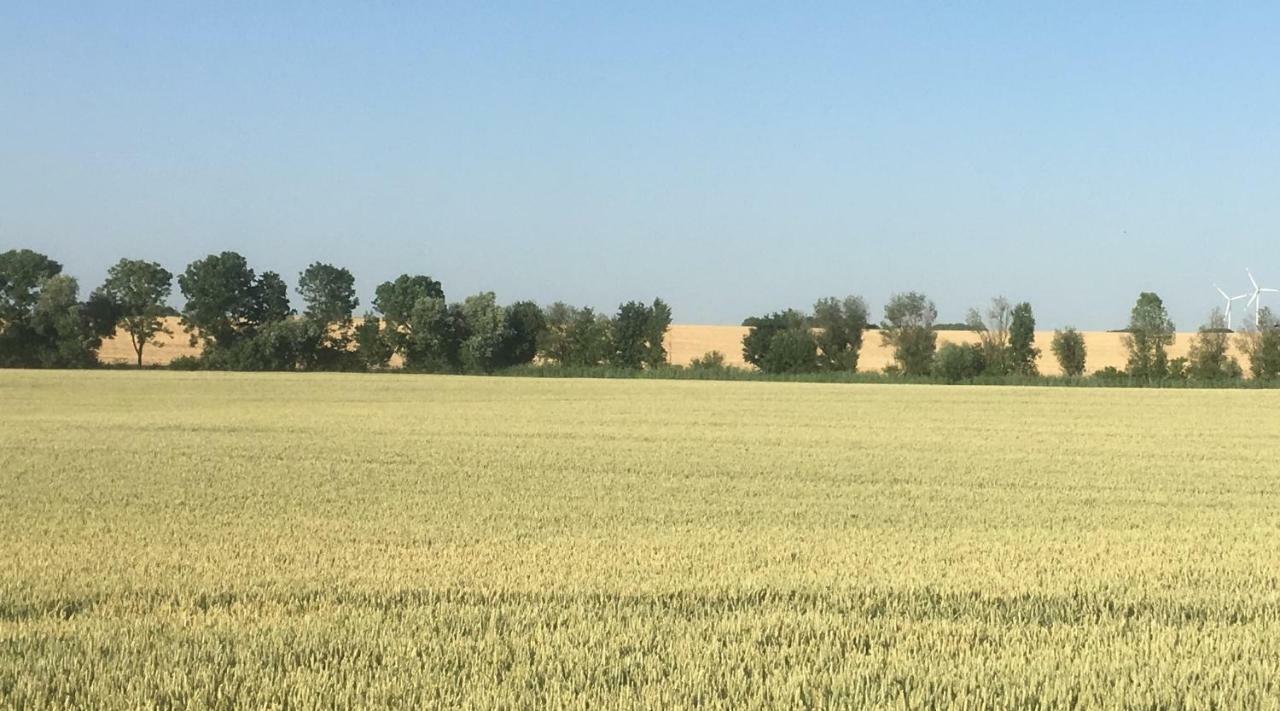 Ferienwohnung Walkershofen Simmershofen المظهر الخارجي الصورة